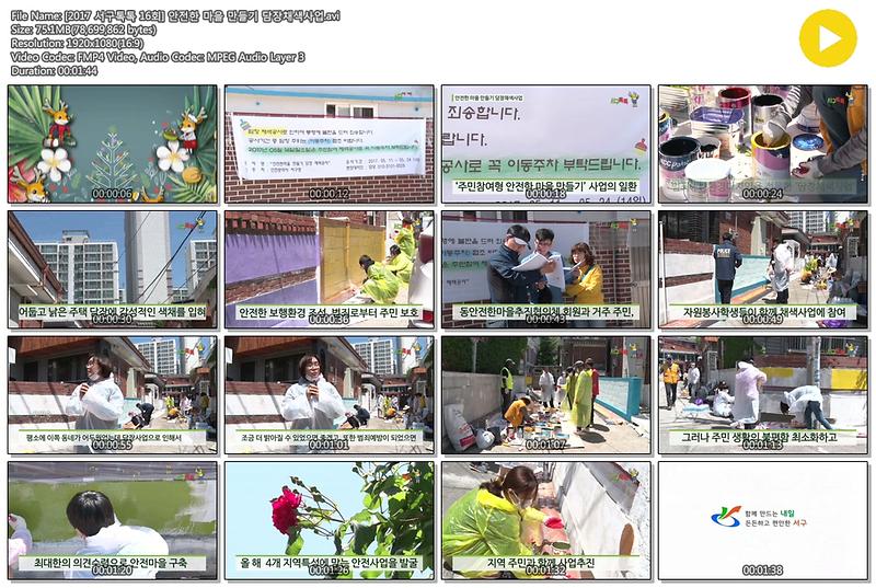 [2017 서구톡톡 15회] 안전한 마을 만들기 담장채색사업 사진